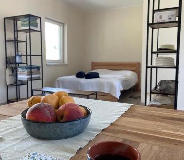 Soymy House | Cozy Gasthof Dresden: Pet-Friendly with Ocean Views