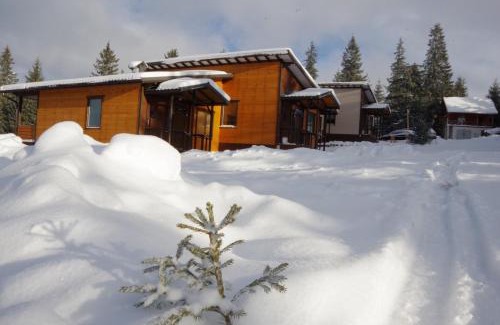 Yablunytsya House | Discover Your Perfect Retreat at Коттедж для отдыха Дискавери