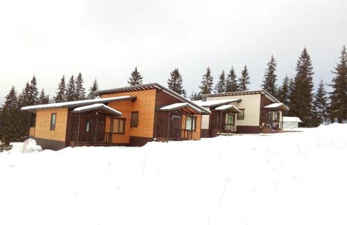 Yablunytsya House | Discover Your Perfect Retreat at Коттедж для отдыха Дискавери