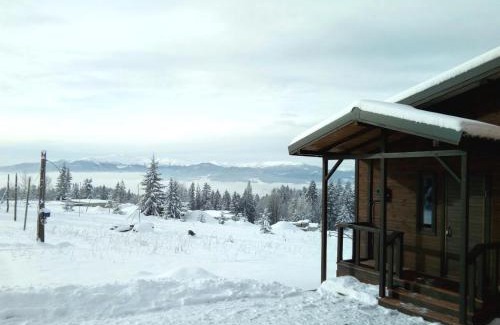 Yablunytsya House | Discover Your Perfect Retreat at Коттедж для отдыха Дискавери