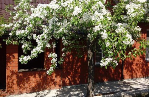 Nizhny Novgorod House | Pet-Friendly Cottage with Breakfast and Hot Tub Awaits You