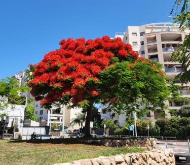 Bat Yam Apartment | Pet and Child Friendly Short-Term Rentals in Bat Yam