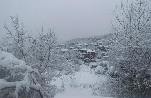 Leshten House | Unforgettable Stay at Кътче: Pet & Child Friendly Retreat