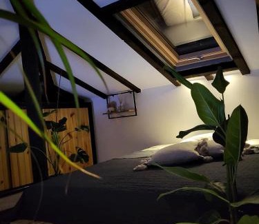 Tutrakan Villa | Къща за гости Mia Maria