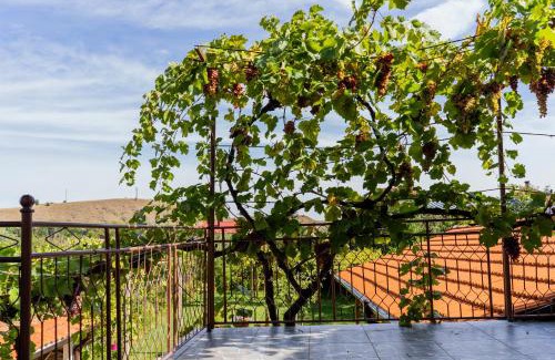 Sapareva Banya House | Discover Къща Лиляна: Family-Friendly Retreat for All