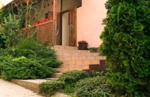 Uzhhorod House | Central Rooms with Family and Pet-Friendly Amenities