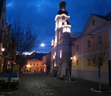 Uzhhorod House | Central Rooms with Family and Pet-Friendly Amenities