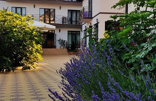 Arkhipo-Osipovka House | Lavender Courtyard: Guest Rated 10/10 with Kitchen Access