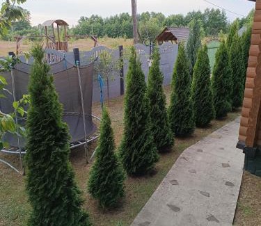 Volyn Oblast Cabin | Discover Лазурний берег: Oceanfront Retreat for Families
