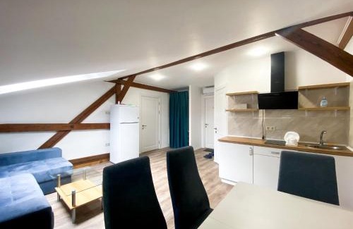 Kosuv Stary Apartment | Stylish Mansard Apartments in the City Center - 9.7/10 Rated
