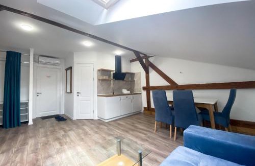 Kosuv Stary Apartment | Stylish Mansard Apartments in the City Center - 9.7/10 Rated