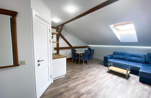 Kosuv Stary Apartment | Stylish Mansard Apartments in the City Center - 9.7/10 Rated