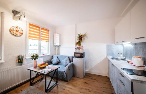 Uzhhorod Apartment | Prime Location in Novi: Family-Friendly Smart Apartments