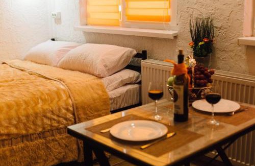 Uzhhorod Apartment | Prime Location in Novi: Family-Friendly Smart Apartments