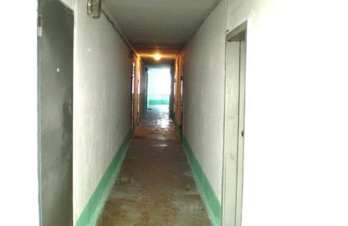 Mykolaiv Apartment | Cozy Studio on Central Avenue with Pet-Friendly Perks