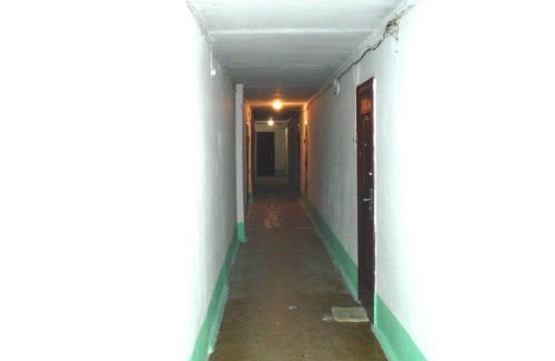 Mykolaiv Apartment | Cozy Studio on Central Avenue with Pet-Friendly Perks