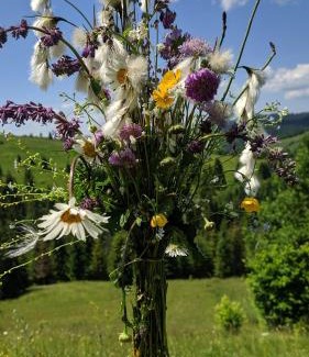 Plavya House | Discover Незабудка: Pet-Friendly Haven with Breakfast & Hot Tub