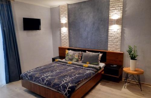 Kosuv Stary Apartment | Cozy Apartments Near the I.F. Train Station - Rated 9.3/10