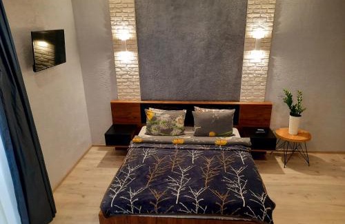Kosuv Stary Apartment | Cozy Apartments Near the I.F. Train Station - Rated 9.3/10