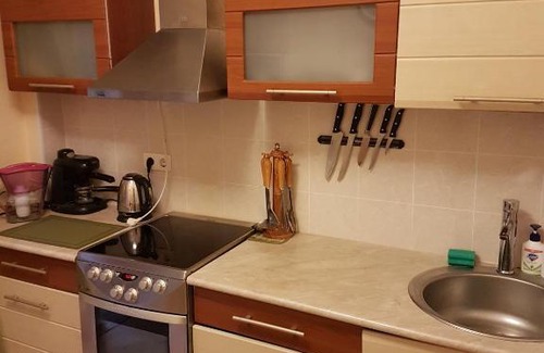 Yuzhno-Sakhalinsk Apartment | Pet-Friendly One-Bedroom Retreat in the City Center