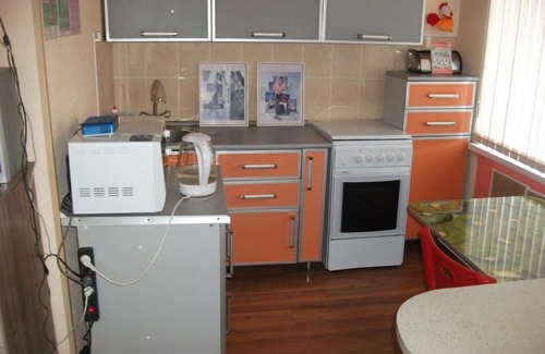 Nizhnekamsk Apartment | Comfortable One-Bedroom Apartment with Pet-Friendly Perks
