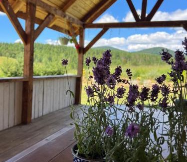 Plavya House | Dreamy Mountains Retreat: Pet and Child Friendly Stay