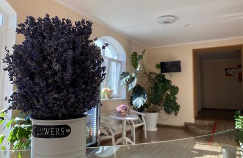 Sumy Oblast Hotel | Orchidea: 9/10 Rated Hotel with Hot Tub & Dining Options