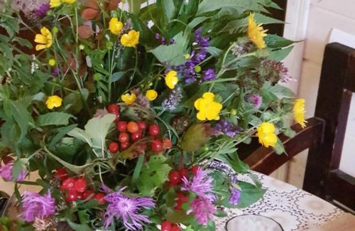 Verkhovyna Bed & Breakfast | Guest Rated 10/10 at Панская Печь with Ocean View & Breakfast
