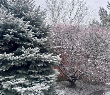Velyka Byyhan Bed & Breakfast | Discover Cozy Bed and Breakfasts in Velyka Bihanʼ, Ukraine