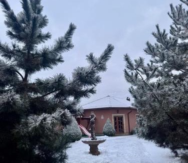Velyka Byyhan Bed & Breakfast | Discover Cozy Bed and Breakfasts in Velyka Bihanʼ, Ukraine