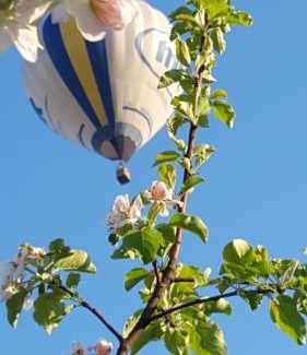 Ataki Hotel | Exceptional Пановецька Садиба: Family-Friendly Retreat