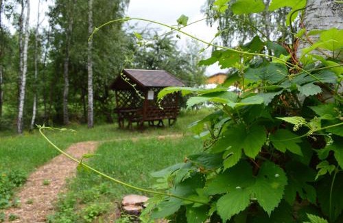 Yerkiv Other | Experience Nature at Беремицьке and Лісове Озеро Hotel