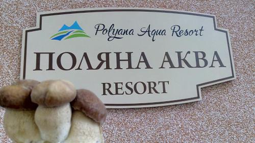 Polyana House | Child-Friendly Getaway at Поляна Аква Резорт - 9.6/10 Rated