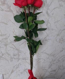 Lisakovsk Apartment | Cozy Apartment in a Peaceful Neighborhood - Family & Pet Friendly