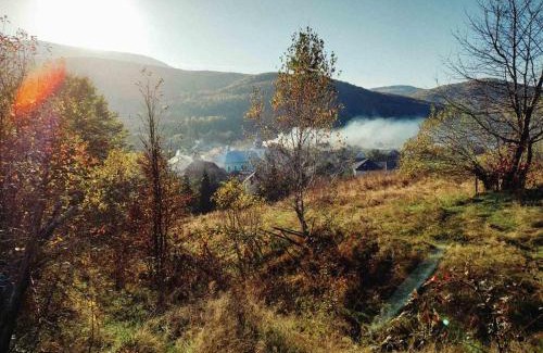 Transcarpathia Bed & Breakfast | Discover Дикий Мед: 9.7/10 with Pool & Ocean View