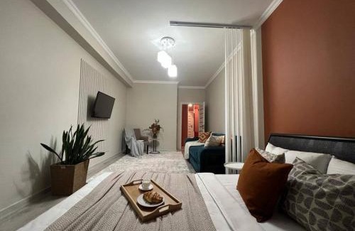 Kazakhstan Apartment | Comfortable Two-Bedroom Apartments at Terracotta