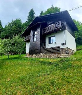 Podobovets Ski Chalet | Pet-Friendly Retreat at Під Боржавою - Guest Rated 9.8