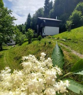 Podobovets Ski Chalet | Pet-Friendly Retreat at Під Боржавою - Guest Rated 9.8