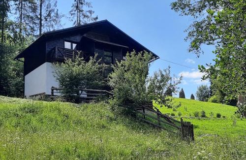 Podobovets Ski Chalet | Pet-Friendly Retreat at Під Боржавою - Guest Rated 9.8
