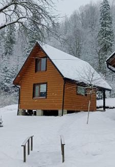 Snidavka House | Exceptional Stay at Під горою 2 - Pet Friendly Retreat