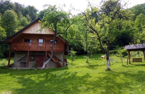 Snidavka Cabin | Explore Під горою: 9.7 Rated, Pet & Child Friendly Stay