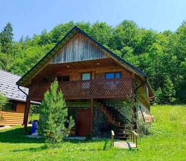 Snidavka Cabin | Explore Під горою: 9.7 Rated, Pet & Child Friendly Stay