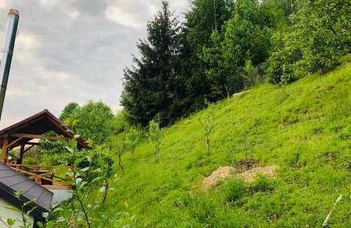Soymy House | Enchanted Retreat Under the Forest Canopy - Guest Rated 9/10