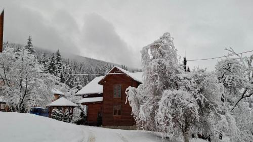 Snidavka House | Paradise Retreat: Guest Rated 9.8 & Family Friendly!