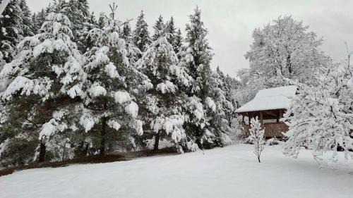 Snidavka House | Paradise Retreat: Guest Rated 9.8 & Family Friendly!