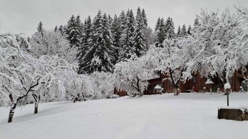 Snidavka House | Paradise Retreat: Guest Rated 9.8 & Family Friendly!