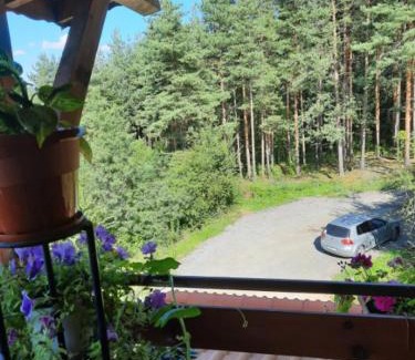 Vranyantsi House | Enchanting Райчевата къща: Pet-Friendly Getaway in Кюстендил