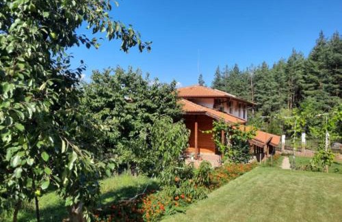 Vranyantsi House | Enchanting Райчевата къща: Pet-Friendly Getaway in Кюстендил