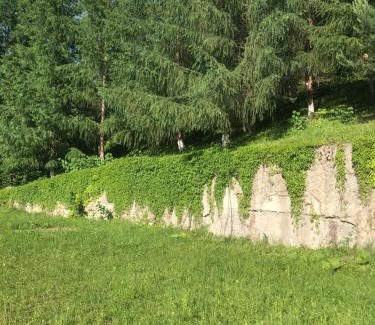 Snidavka House | Discover Ромашка: Pet-Friendly Retreat with Breakfast Included