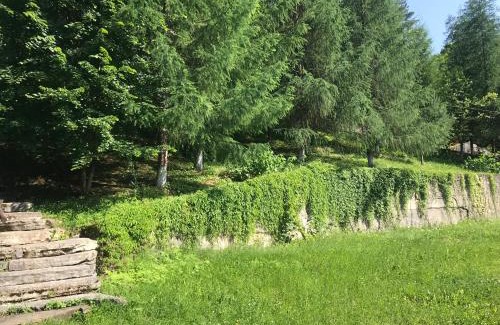 Snidavka House | Discover Ромашка: Pet-Friendly Retreat with Breakfast Included